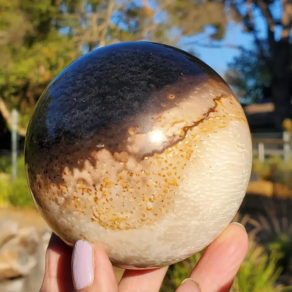 Large Petrified Palm Root Wood Fossil Crystal Sphere Indonesian 714 grams | 82mm
